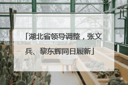 湖北省领导调整，张文兵、黎东辉同日履新